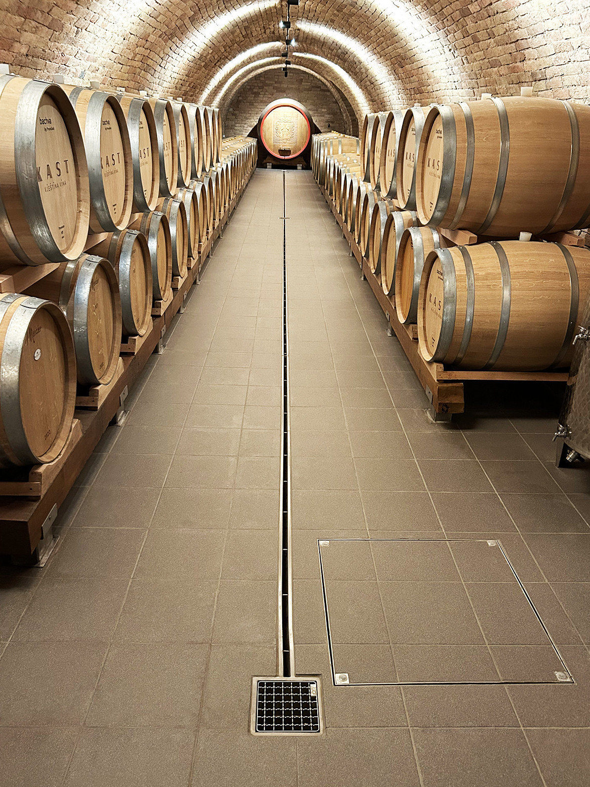 Vinarija Kast, Ilok