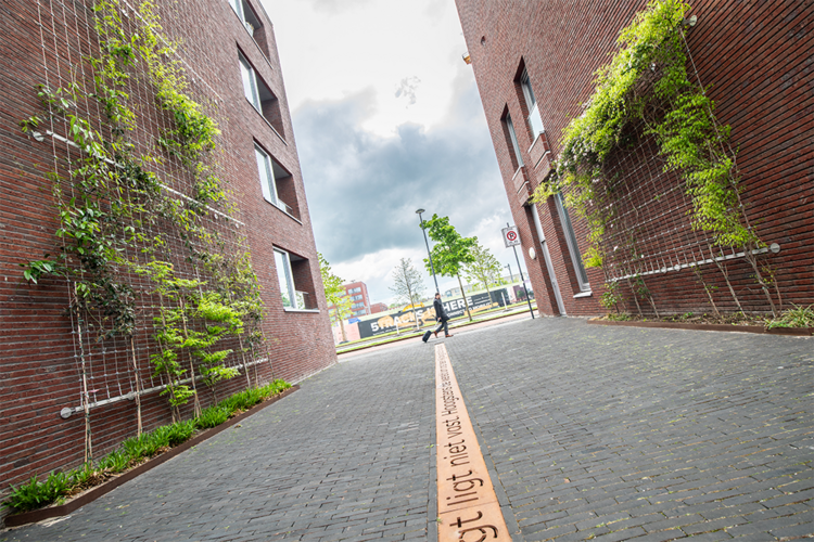 ExoDrain CorTen - Steeg Bij Station Breda Copy