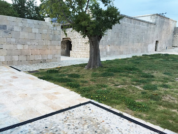 Maškovića han, Vrana