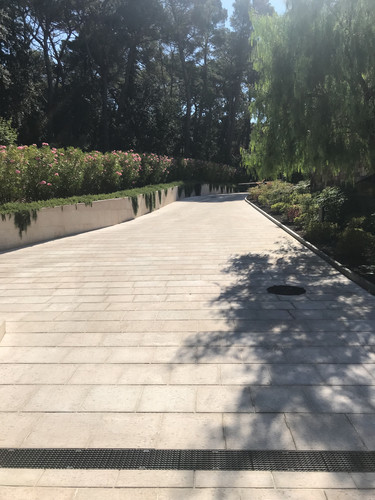 IMG 3356